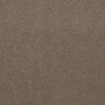 Toasted Taupe
