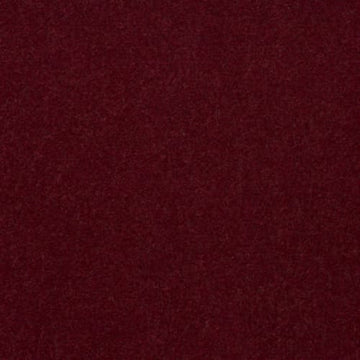 Wild Cranberry