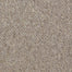Capital Cls E3+ in Justice Carpet