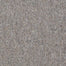 Scholarship in Chateau Gray Carpet
