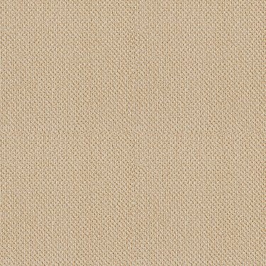 Traditional Elegance in Carpet Flooring