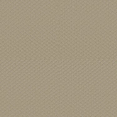 Best Day In Carpet Flooring