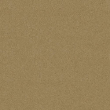 Butterscotch
