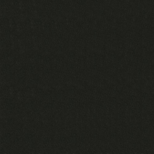 Emphatic II 30 in Coal Mine Carpet