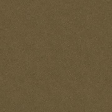 Olive Twist