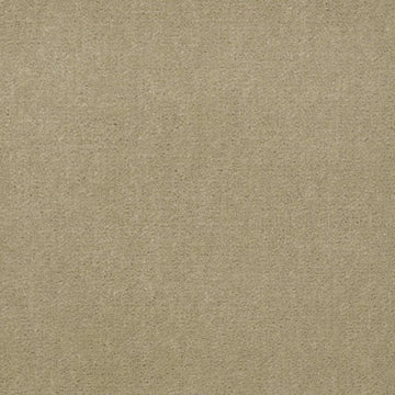 Parchment