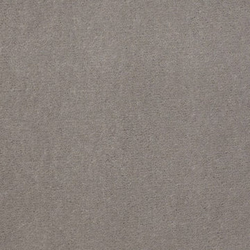 Gray Hare