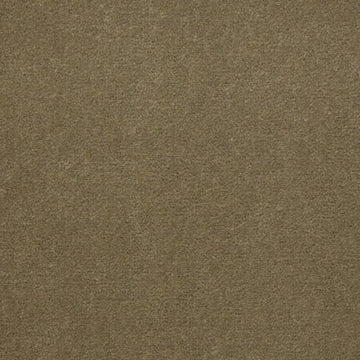 Olive Twist