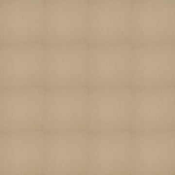Cornsilk