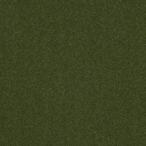 Agility 5mm in Green Carpet