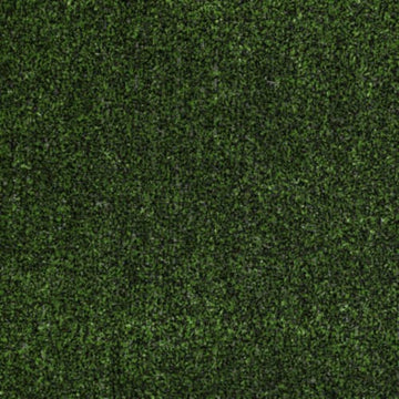 Holly Leaf