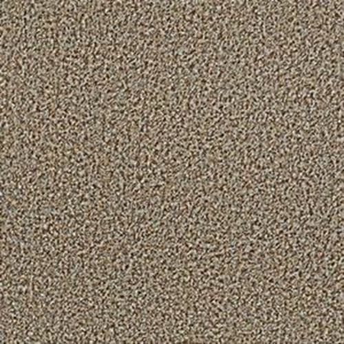 Arbor View (T) in Brown Sugar Carpet