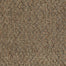 Gardenscape (T) in Rustic Copper Carpet