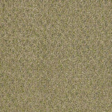 Wheat Grass