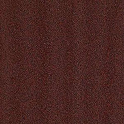 Outside Agenda in Barnside Carpet