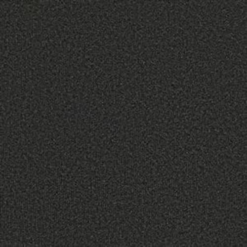 Backdrop I 12 in Anvil Carpet