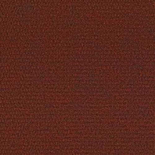 Bedecked in Carpet Flooring