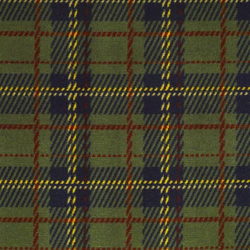 Scottish Plaid II in Highlands Carpet
