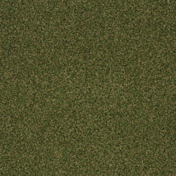 Sea Grass