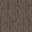 VISIONARY in Cutting Edge Carpet