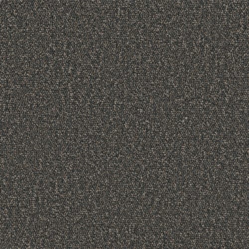 AVENUE in Adams Carpet