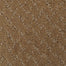 Calm Seas 5544 in 26121 Townhall   Carpet Flooring | Dixie Home