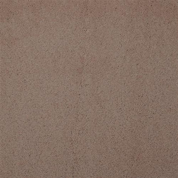 Vicuna