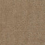 My Style 5778 in 80116 Smoky Ash  Carpet Flooring | Dixie Home