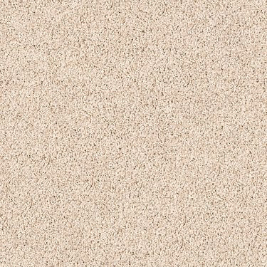 Winters Home in Carpet Flooring