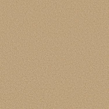 Blonde Cashmere