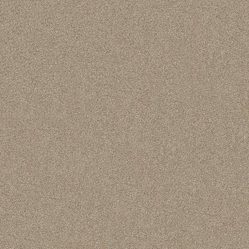 Cork Board