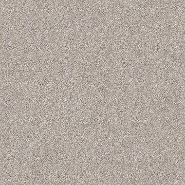 Winter Dunes