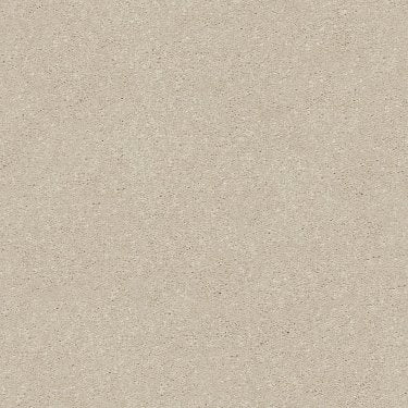 Solidify II 12' in Carpet Flooring