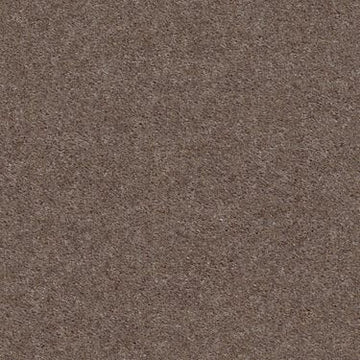 Chic Taupe