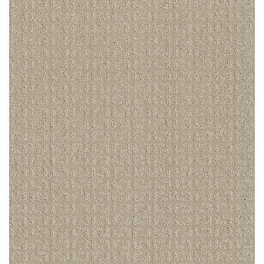 Transform in Carpet Flooring