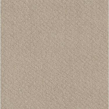 Chic Shades in Carpet Flooring