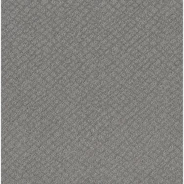 Grey Fox