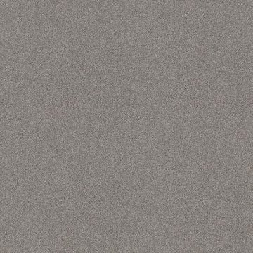 Grey Fox