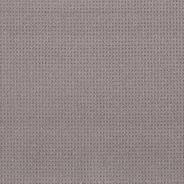 Grey Fox