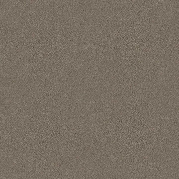 Saddle Tan