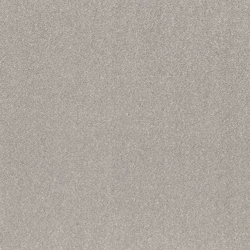 Silver Mist