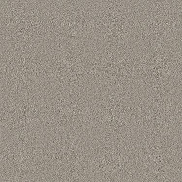 Tempting Taupe