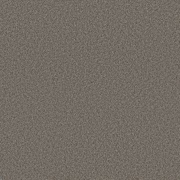 Weathered Siding
