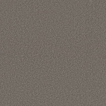 Weathered Siding