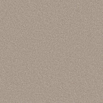 Sea Ice