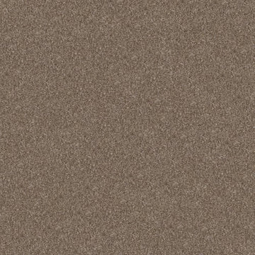 Honeycomb