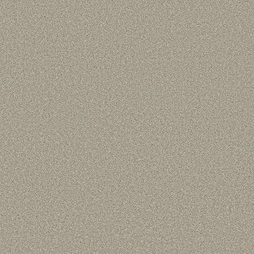 Bleached Oak