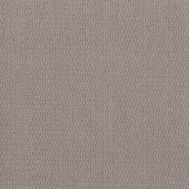 Feisty in Carpet Flooring