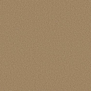 Morning Dew