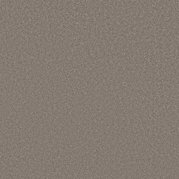 Mocha Frost
